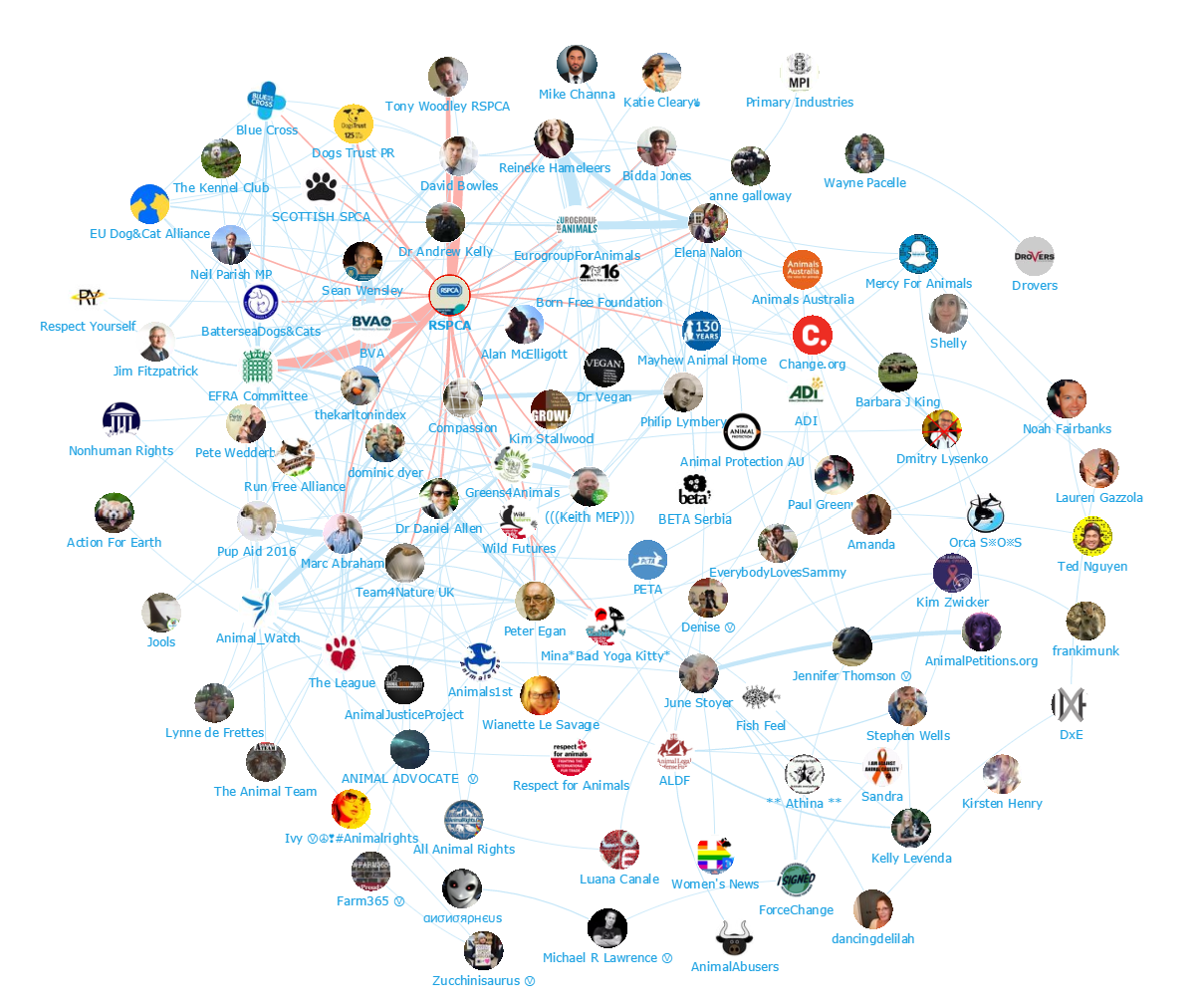 Onalytica Animal Welfare Top 100 Influencers and Brands- Network Map RSPCA